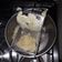 El cooksnap de CARLOS ADRIAN HIDALGO ORMEÑO cuando hizo Puré de papas.