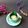 Cooksnap dari KasMira untuk resep Teh Lemon Pandan