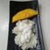 Cooksnap dari Aris Brave untuk resep Mango sticky rice