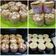 Cooksnap dari Mommy Yethie untuk resep Bolu Labu kuning