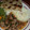 Sir Davynition's cooksnap of when they made Chapati and minji with beef stew.