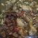 Cooksnap dari Brigita Herlinda untuk resep Gulai Paha Ayam Pedesss