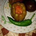 صورة من مطبخ الوسة 😍😍 😘😘، شاركها بعد تجربة وصفة محاشي مشكلة سورية