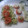 Juliet's cooksnap of when they made Cucumber tomato salad.