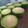 El cooksnap de Andrea Gimenez cuando hizo Muffins de vainilla y dulce de leche.