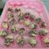 Cooksnap dari reny taibong untuk resep Kue kering Coklat Chococrunch