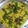 Daksha Vikani's cooksnap of when they made ઇન્સ્ટન્ટ નાયલોન ખમણ (Instant Nylon Khaman Recipe In Gujarati).