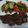 Cooksnap dari Nom Nom Gulp untuk resep Beef Steak / Steak Daging Sapi Teflon Homemade