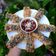 Cooksnap dari Lukyta Pratiwi untuk resep Gimmari Mie Instan (ala saya)