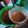 Cooksnap dari Bee Luve untuk resep Ginger lime herbal drink (minuman peluntur lemak)