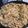 El cooksnap de Hector Camacho cuando hizo Arroz chino.