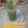 Rita Mehta ( Executive chef )'s cooksnap of when they made Cucumber lemon cooler/summer cooler/cucumber juice.