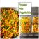Cooksnap dari Achui Yovan untuk resep Frozen Mix Vegetable