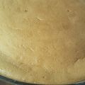 El cooksnap de Fio Mgabin 👩🏼‍🍳 cuando hizo Torta con bizcochuelo básico.