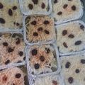 Cooksnap dari Fadlun S Adam untuk resep Klapertaart Panggang