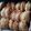 Cooksnap dari Ade Lusiana untuk resep Pastel goreng