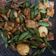 Cooksnap dari Sri Wijayanti untuk resep Tumis buncis tempe tahu kecap