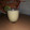 El cooksnap de fer cuando hizo Batido de piña y kiwi con avena.
