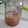 Cooksnap dari Dika untuk resep Sirup madu bawang jahe