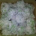 Cooksnap dari Nita Maria untuk resep Klepon Pandan Gurih dan lembut isi gula kelapa