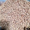 Cooksnap dari Dapur Koe untuk resep Kacang Telor Renyah