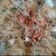 Cooksnap dari dee untuk resep Bihun Beras Bumbu Lada
