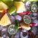 Cooksnap dari cendra erawani untuk resep Manisan rambutan dan nanas