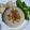 Cooksnap dari Divi Hapsari untuk resep Nasi Hainan Ricecooker