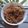 Oindrila Majumdar's cooksnap of when they made ঝটপট ভেজ চাউমিন(Jhotpot veg chowmein recipe in bengali).