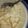 Danish Ashraf's cooksnap of when they made Mango delight.