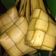 Cooksnap dari Asri Santi Jafna untuk resep Ketupat cepat empuk
