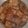 Cooksnap dari mukrom untuk resep Tahu bacem with puyuh