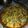 El cooksnap de verito17 cuando hizo Tarta de espinacas, atún y cebolla.