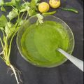 Sanskriti arya का कुकस्नैप जब उन्होंने हरे धनिये की चटनी (hare dhaniye ki chutney recipe in Hindi) बनाया था।