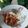 Cooksnap dari Visca Mahu untuk resep Blado ikan asin tipis/kapas