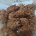Cooksnap dari Sasmitha Omegaria untuk resep Sosis mi gulung
