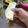 Cooksnap dari Vie Lie untuk resep Chicken Shawarma Middle Eastern style