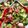 ChrisO505's cooksnap of when they made Greek salad.