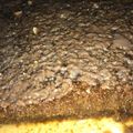 صورة من sallosh ، شاركها بعد تجربة وصفة بسبوسه الجلكسي