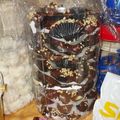 Cooksnap Farah Farhana semasa beliau membuat Almond London.
