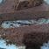 Cooksnap dari Ratnaningsih Ningsih untuk resep Brownis chocolatos simple(kukus)