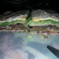 El cooksnap de Ro Martinez cuando hizo Súper hamburguesas ligth!.