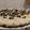 El cooksnap de Tatiana leites cuando hizo Cheesecake oreo sin horno.