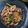 Cooksnap dari Nita Rahayu untuk resep Tumis Cumi Basah