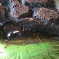 Cooksnap dari Dhian Kurnia untuk resep Choco Lava kukus