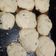 El cooksnap de Pai Chepli cuando hizo Galletitas dulces SIN TACC - GLUTEN FREE.