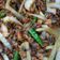Cooksnap dari milasantimujono untuk resep Kerang Dara Tumis Bombay