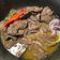 El cooksnap de Jose Diaz cuando hizo Bistec encebollado.