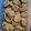 Pamella Jean 's cooksnap of when they made Melting Rama Cookies.