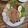 Cooksnap dari 🌷Yulie Yuda Gunawan🌷 untuk resep 40. Bumbu Gado-Gado Siram Surabaya